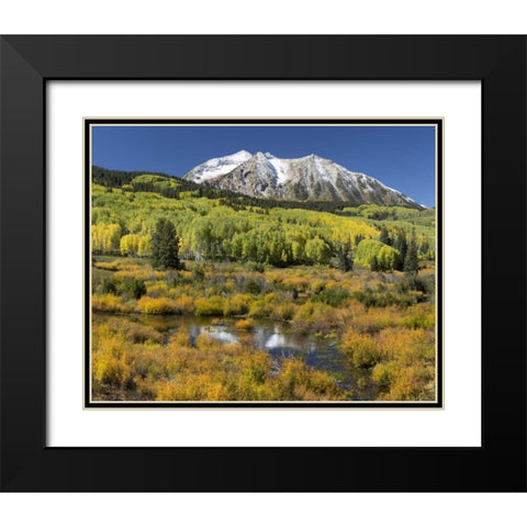 CO, East Beckwith Mountain Mountain and forest Black Modern Wood Framed Art Print with Double Matting by Paulson, Don
