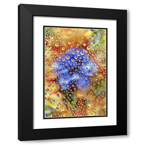 Colorado, Lafayette Abstract Water bubbles Black Modern Wood Framed Art Print with Double Matting by Bush, Marie