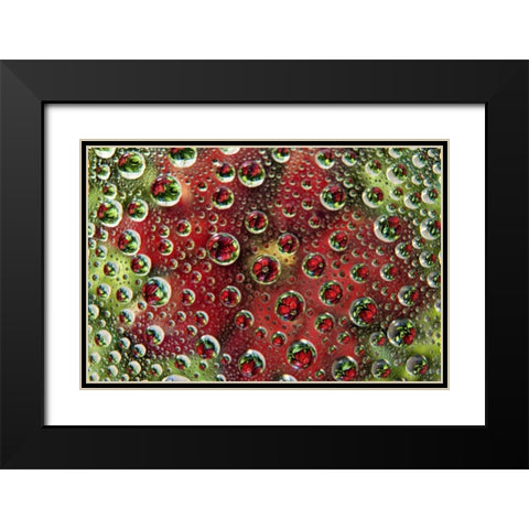 Colorado, Lafayette Abstract Water bubbles Black Modern Wood Framed Art Print with Double Matting by Bush, Marie