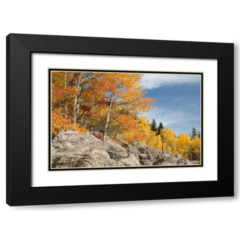 USA, Colorado, Rocky Mountain NP Autumn scenic Black Modern Wood Framed Art Print with Double Matting by Bush, Marie