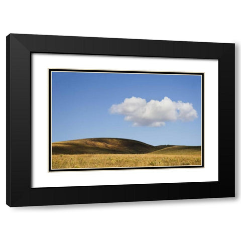 Colorado, San Juan Mts Landscape of Wilson Mesa Black Modern Wood Framed Art Print with Double Matting by Bush, Marie