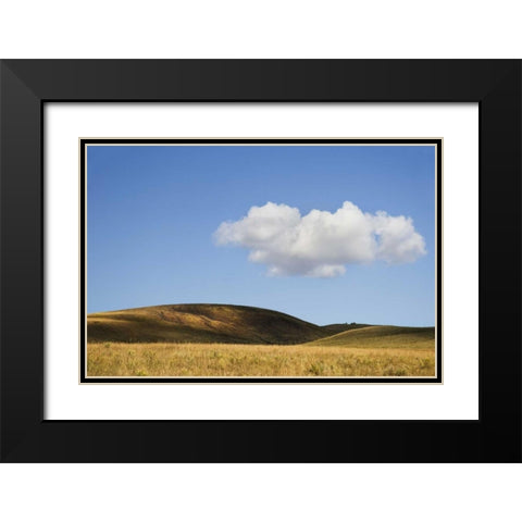 Colorado, San Juan Mts Landscape of Wilson Mesa Black Modern Wood Framed Art Print with Double Matting by Bush, Marie