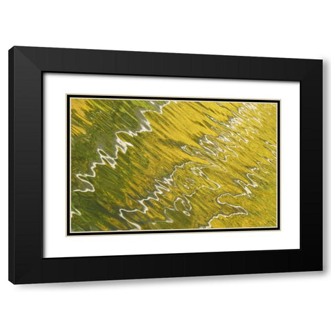 Colorado, San Juan Mts Reflection in Woods Lake Black Modern Wood Framed Art Print with Double Matting by Bush, Marie