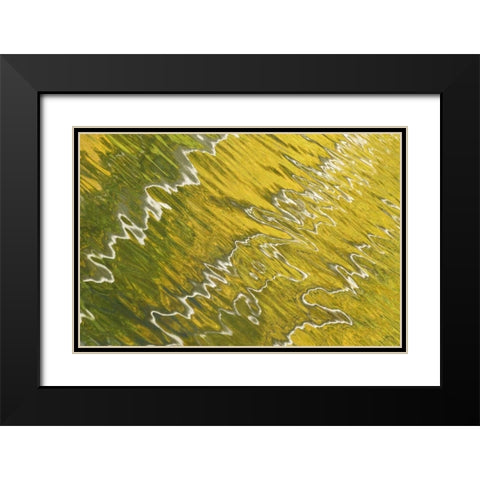 Colorado, San Juan Mts Reflection in Woods Lake Black Modern Wood Framed Art Print with Double Matting by Bush, Marie