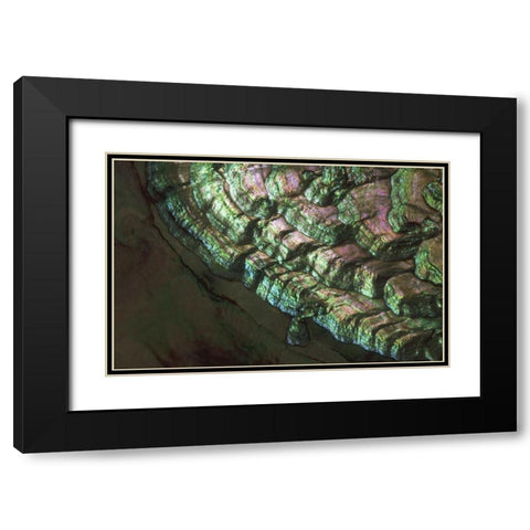 USA, Colorado, Lafayette Abalone shell close-up Black Modern Wood Framed Art Print with Double Matting by Bush, Marie