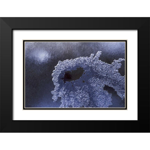CO, Boulder Ice pattern in South Boulder Creek Black Modern Wood Framed Art Print with Double Matting by Bush, Marie