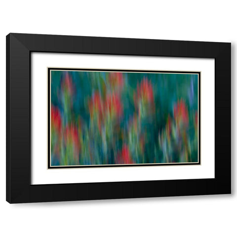 USA, Colorado, Crested Butte Flower abstract Black Modern Wood Framed Art Print with Double Matting by Bush, Marie