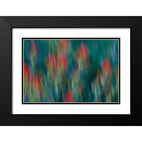USA, Colorado, Crested Butte Flower abstract Black Modern Wood Framed Art Print with Double Matting by Bush, Marie