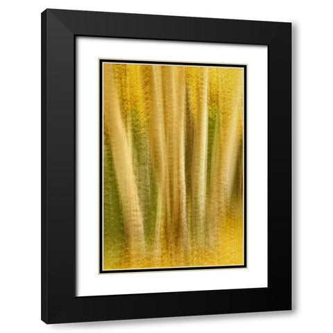Colorado, San Juan Mountains Aspen tree abstract Black Modern Wood Framed Art Print with Double Matting by Bush, Marie