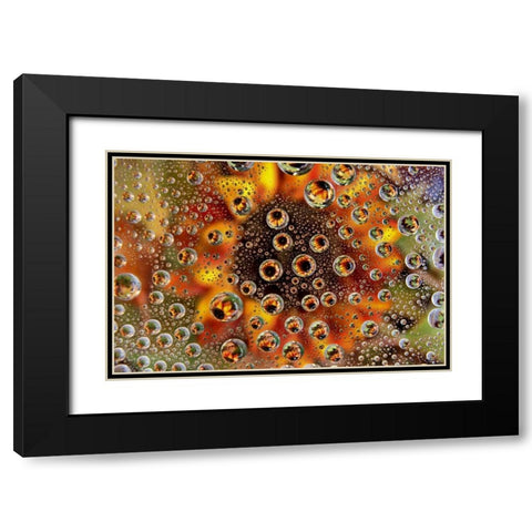 CO, Lafayette Water bubbles on glass table top Black Modern Wood Framed Art Print with Double Matting by Bush, Marie