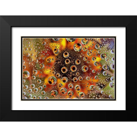CO, Lafayette Water bubbles on glass table top Black Modern Wood Framed Art Print with Double Matting by Bush, Marie