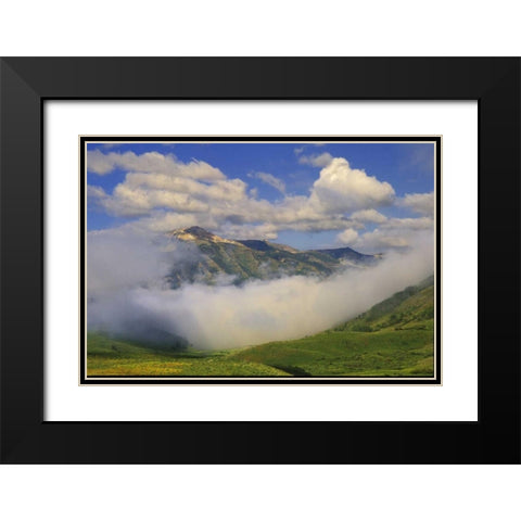 Colorado, Fog and mountain landscape Black Modern Wood Framed Art Print with Double Matting by Rotenberg, Nancy