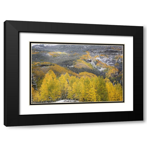 Colorado, San Juan Mountains Autumn snowfall Black Modern Wood Framed Art Print with Double Matting by Grall, Don