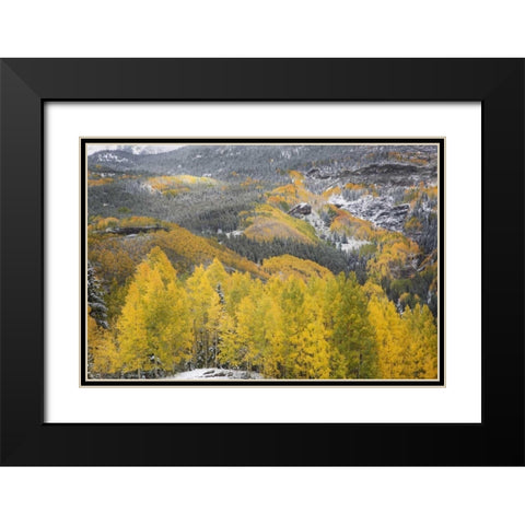Colorado, San Juan Mountains Autumn snowfall Black Modern Wood Framed Art Print with Double Matting by Grall, Don