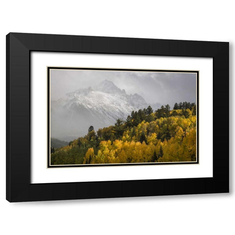 Colorado, Sneffels Range Mt Sneffels at sunset Black Modern Wood Framed Art Print with Double Matting by Grall, Don