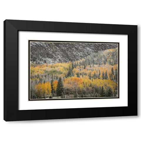Colorado, San Juan Mountains Autumn snowfall Black Modern Wood Framed Art Print with Double Matting by Grall, Don