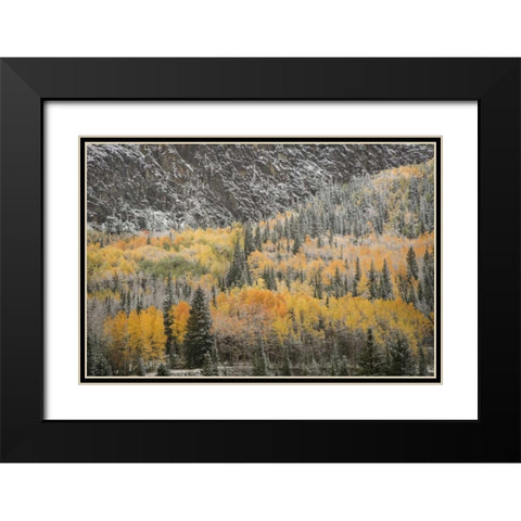 Colorado, San Juan Mountains Autumn snowfall Black Modern Wood Framed Art Print with Double Matting by Grall, Don