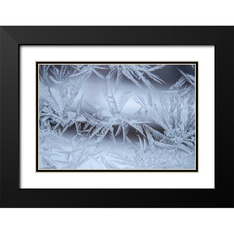 USA, Colorado, Denver Frost on a window Black Modern Wood Framed Art Print with Double Matting by Illg, Cathy and Gordon