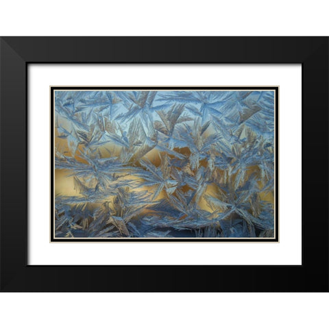 USA, Colorado, Denver Frost on a window Black Modern Wood Framed Art Print with Double Matting by Illg, Cathy and Gordon