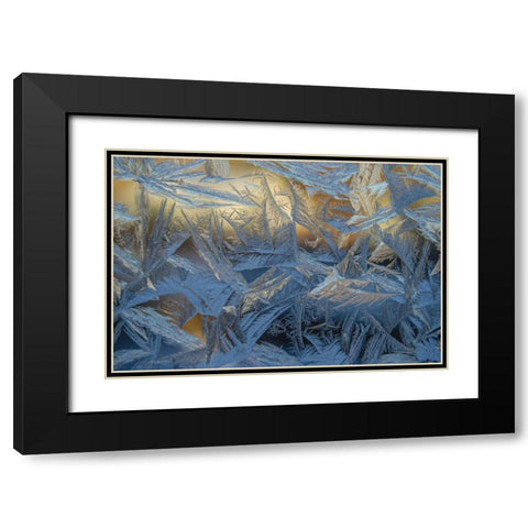 USA, Colorado, Denver Frost on a window Black Modern Wood Framed Art Print with Double Matting by Illg, Cathy and Gordon