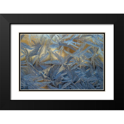USA, Colorado, Denver Frost on a window Black Modern Wood Framed Art Print with Double Matting by Illg, Cathy and Gordon