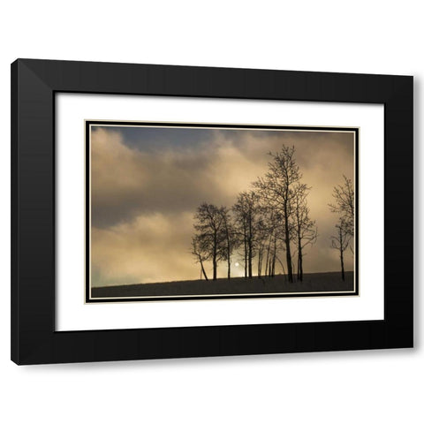 CO, Pike NF Sunrise on clouds and aspen trees Black Modern Wood Framed Art Print with Double Matting by Grall, Don