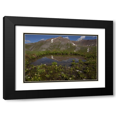 CO, San Juan Mts Pond lined with marsh marigold Black Modern Wood Framed Art Print with Double Matting by Grall, Don