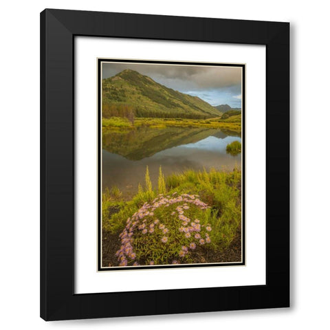 CO, Gunnison NF Asters and pond Black Modern Wood Framed Art Print with Double Matting by Illg, Cathy and Gordon