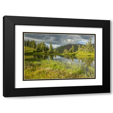Colorado Paradise Divide and pond reflection Black Modern Wood Framed Art Print with Double Matting by Illg, Cathy and Gordon