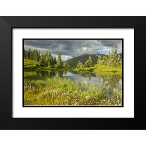 Colorado Paradise Divide and pond reflection Black Modern Wood Framed Art Print with Double Matting by Illg, Cathy and Gordon