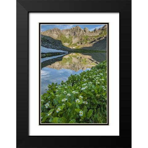 CO, San Juan Mts Lake reflection and marigolds Black Modern Wood Framed Art Print with Double Matting by Illg, Cathy and Gordon