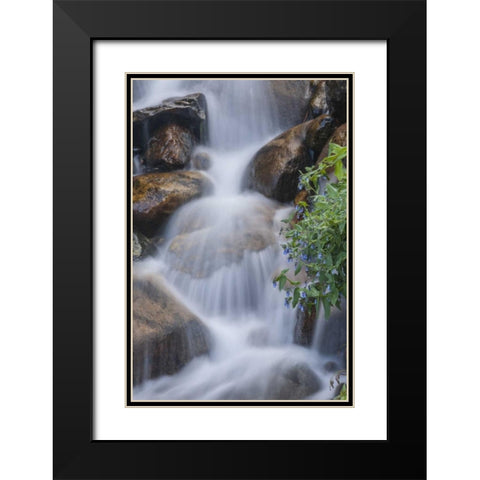CO, Clear Creek Co, Cascade and chiming bells Black Modern Wood Framed Art Print with Double Matting by Illg, Cathy and Gordon