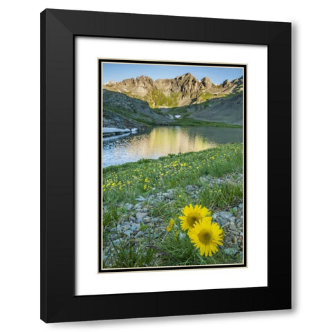 CO, San Juan Mts Lake and alpine sunflowers Black Modern Wood Framed Art Print with Double Matting by Illg, Cathy and Gordon