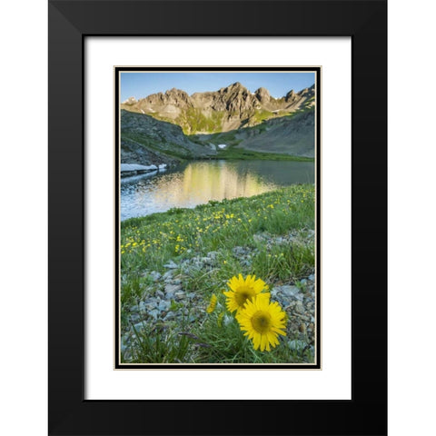 CO, San Juan Mts Lake and alpine sunflowers Black Modern Wood Framed Art Print with Double Matting by Illg, Cathy and Gordon