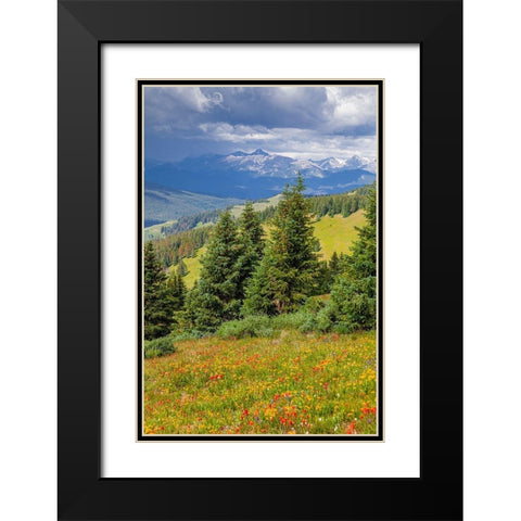 Colorado-Shrine Pass-Vail Flowery landscape in summer Black Modern Wood Framed Art Print with Double Matting by Jaynes Gallery