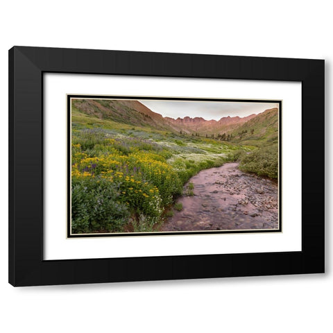 USA-Colorado Mountain landscape with wildflowers and stream Black Modern Wood Framed Art Print with Double Matting by Jaynes Gallery