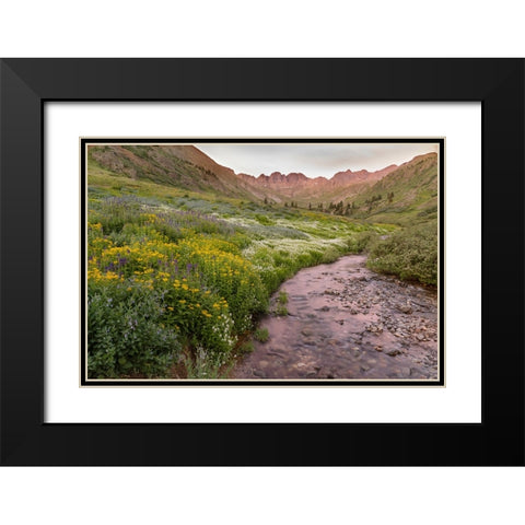 USA-Colorado Mountain landscape with wildflowers and stream Black Modern Wood Framed Art Print with Double Matting by Jaynes Gallery