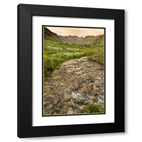 USA-Colorado Mountain landscape with wildflowers and stream Black Modern Wood Framed Art Print with Double Matting by Jaynes Gallery