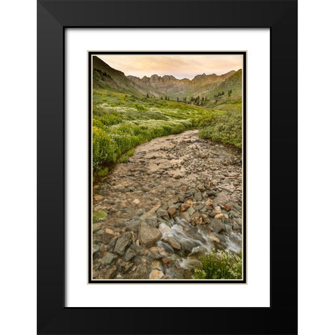 USA-Colorado Mountain landscape with wildflowers and stream Black Modern Wood Framed Art Print with Double Matting by Jaynes Gallery