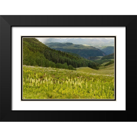 USA-Colorado-San Juan Mountains Summer mountain landscape Black Modern Wood Framed Art Print with Double Matting by Jaynes Gallery