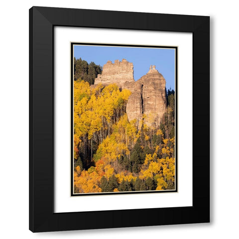 USA-Colorado-Uncompahgre National Forest Pinnacle Ridge towers over aspens in autumn Black Modern Wood Framed Art Print with Double Matting by Jaynes Gallery