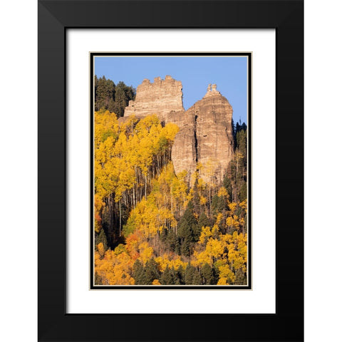 USA-Colorado-Uncompahgre National Forest Pinnacle Ridge towers over aspens in autumn Black Modern Wood Framed Art Print with Double Matting by Jaynes Gallery