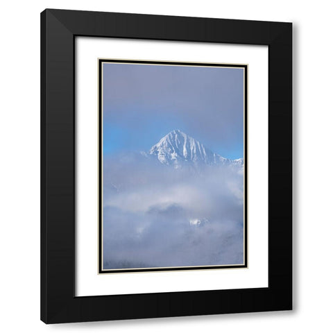 USA-Colorado-Uncompahgre National Forest Autumn sunrise on foggy Wilson Peak Black Modern Wood Framed Art Print with Double Matting by Jaynes Gallery