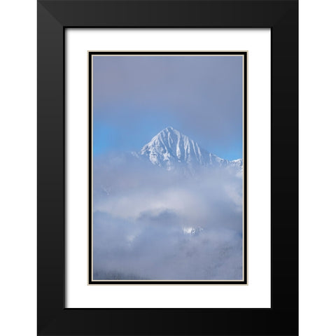 USA-Colorado-Uncompahgre National Forest Autumn sunrise on foggy Wilson Peak Black Modern Wood Framed Art Print with Double Matting by Jaynes Gallery