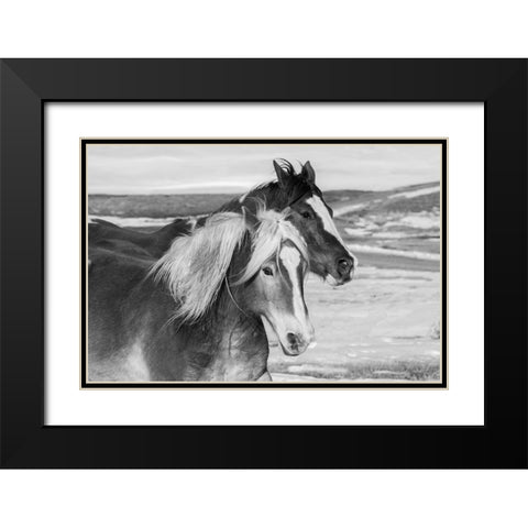 USA-Colorado-Westcliffe Music Meadows Ranch Ranch horses in winter Black Modern Wood Framed Art Print with Double Matting by Hopkins, Cindy Miller