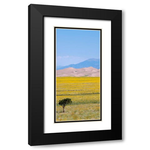 USA-Colorado-San Luis Valley-Great Sand Dunes National Park Black Modern Wood Framed Art Print with Double Matting by Hopkins, Cindy Miller