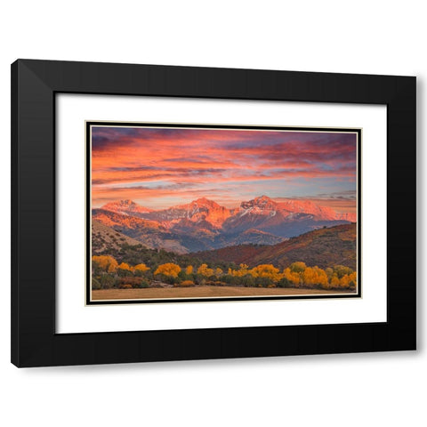 USA- Colorado- Ridgway. Sunset and Dallas Mountain Range autumn Black Modern Wood Framed Art Print with Double Matting by Gulin, Darrell