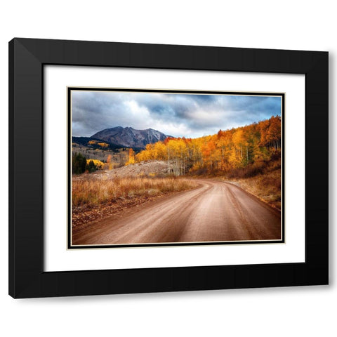 Colorado-San Juan Mts Road leading through an aspen grove towards East Beckwith Mountain Black Modern Wood Framed Art Print with Double Matting by Eggers, Julie