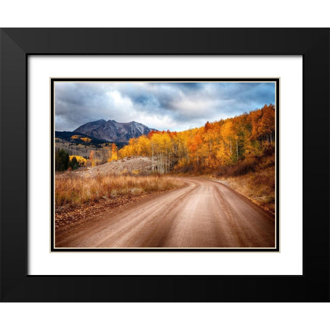 Colorado-San Juan Mts Road leading through an aspen grove towards East Beckwith Mountain Black Modern Wood Framed Art Print with Double Matting by Eggers, Julie