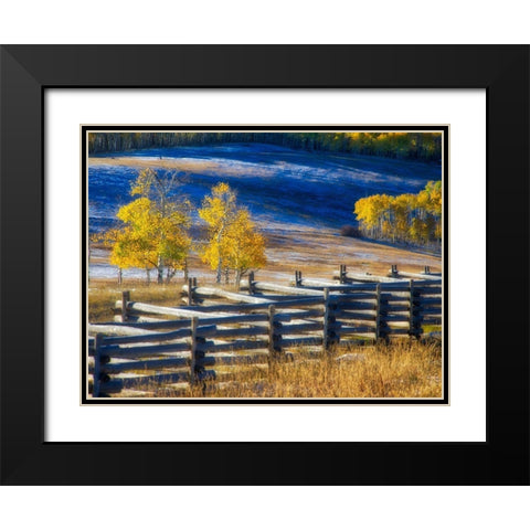 Colorado-San Juan Mts Fence line and aspens with fresh snow in the fall Black Modern Wood Framed Art Print with Double Matting by Eggers, Julie